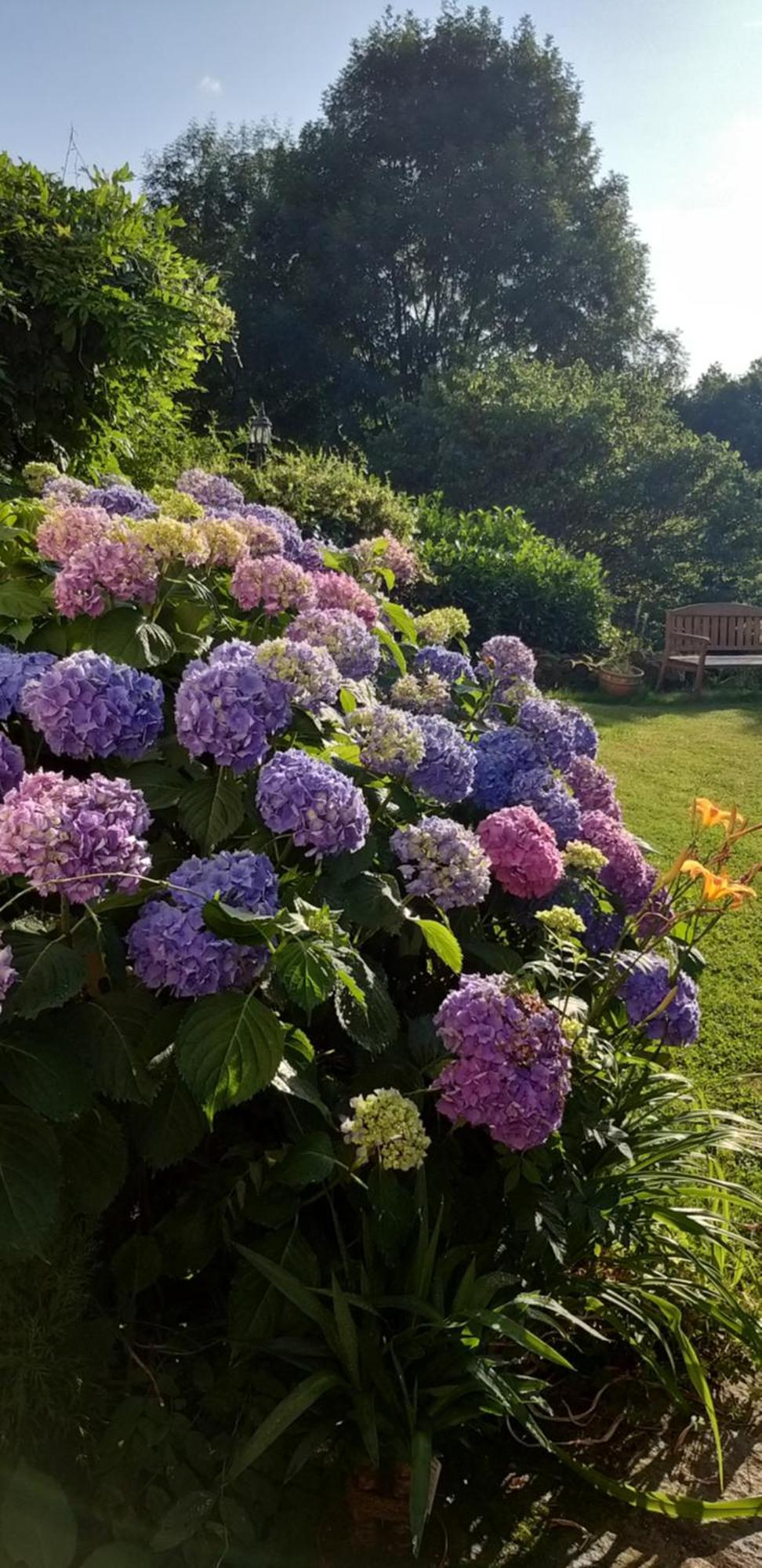 Manoir XV Domaine De Peyrafort ทูล ภายนอก รูปภาพ