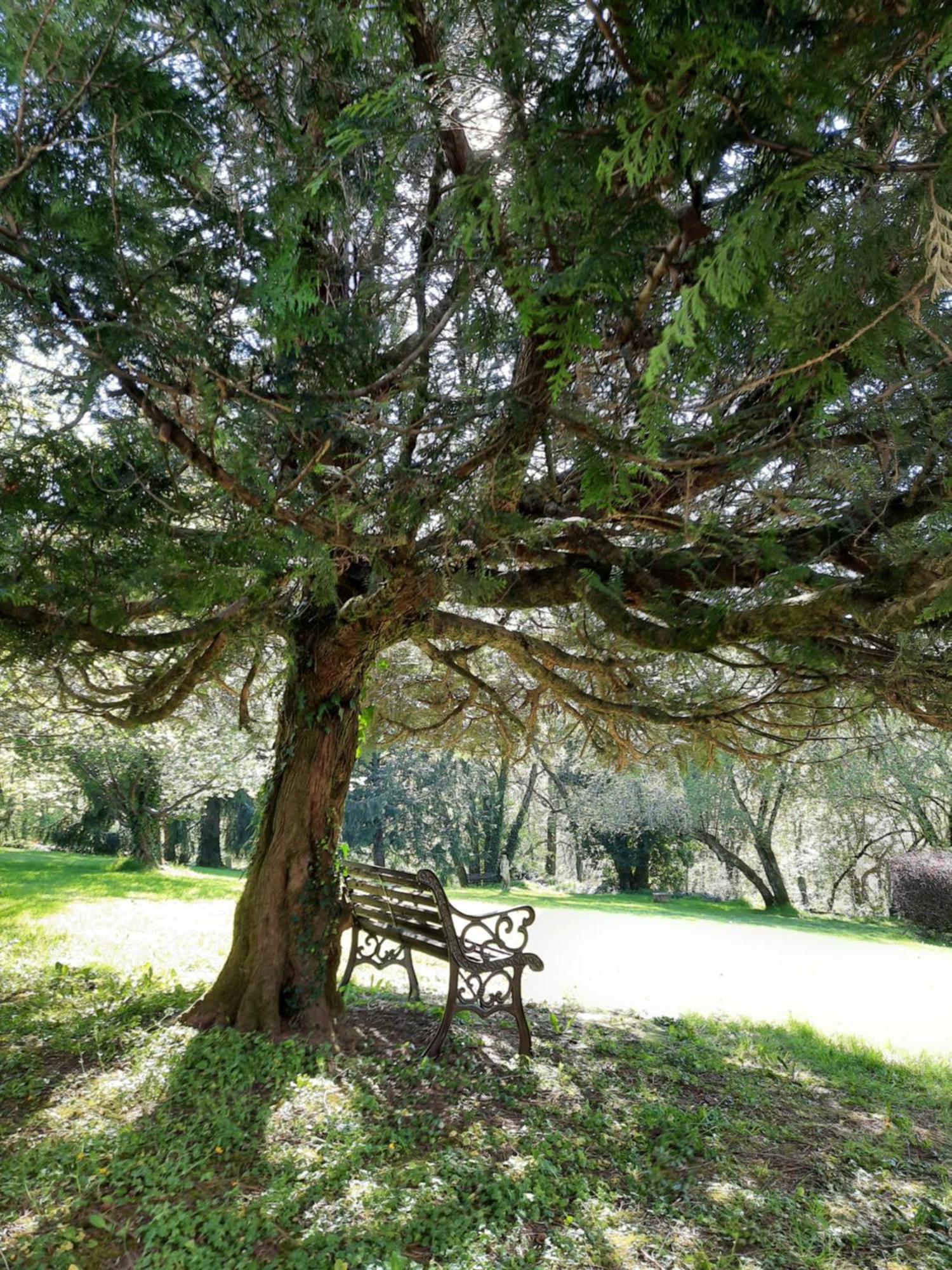 Manoir XV Domaine De Peyrafort ทูล ภายนอก รูปภาพ